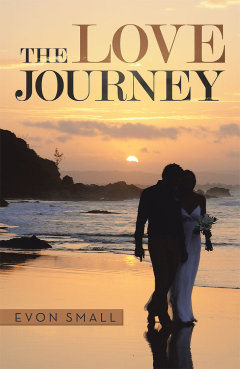 Cover image for book The Love Journey