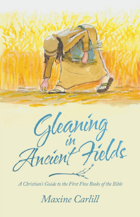 Cover image for book Gleaning in Ancient Fields