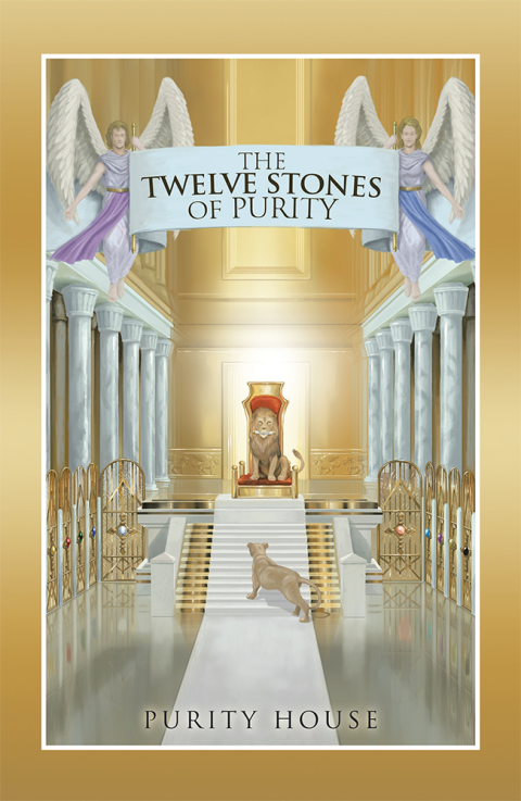 Cover image for book The Twelve Stones of Purity