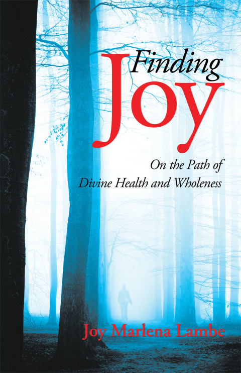 Cover image for book Finding Joy
