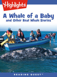 صورة الغلاف: Whale of a Baby and Other Real Whale Stories, A