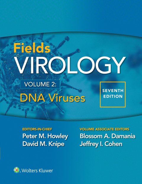 Cover image for book Fields Virology: DNA Viruses