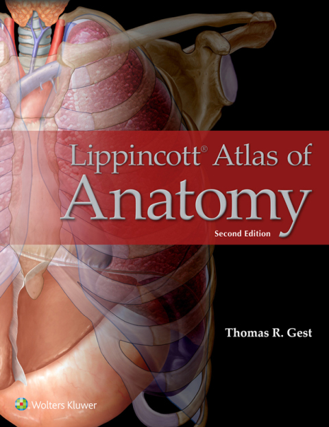 Cover image for book Lippincott Atlas of Anatomy