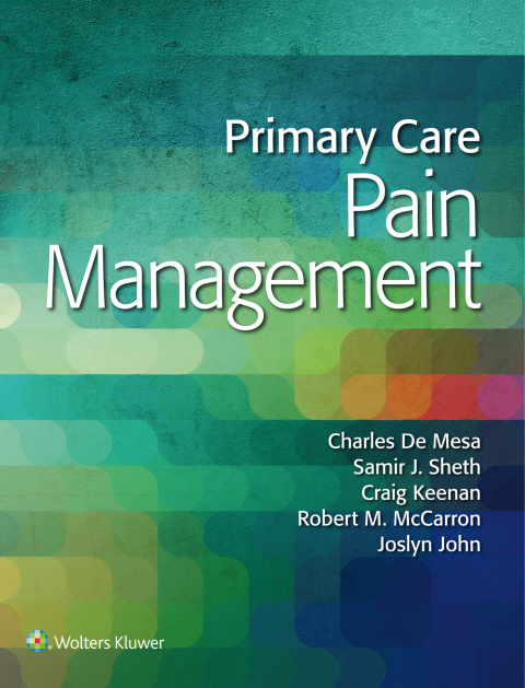 Cover image for book Primary Care Pain Management