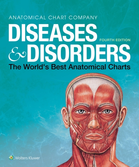 Cover image for book Diseases & Disorders