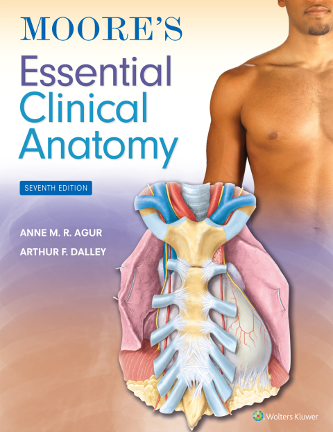 Cover image for book Moore's Essential Clinical Anatomy