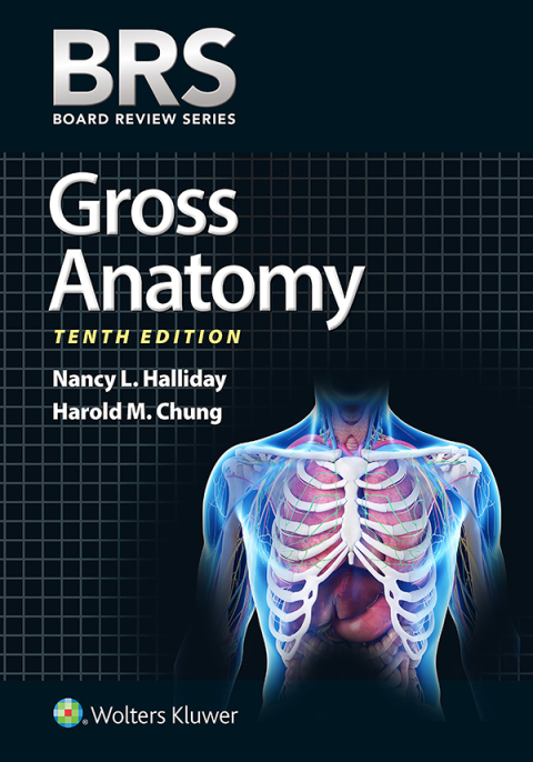 Cover image for book BRS Gross Anatomy