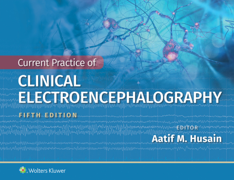 Cover image for book Current Practice of Clinical Electroencephalography