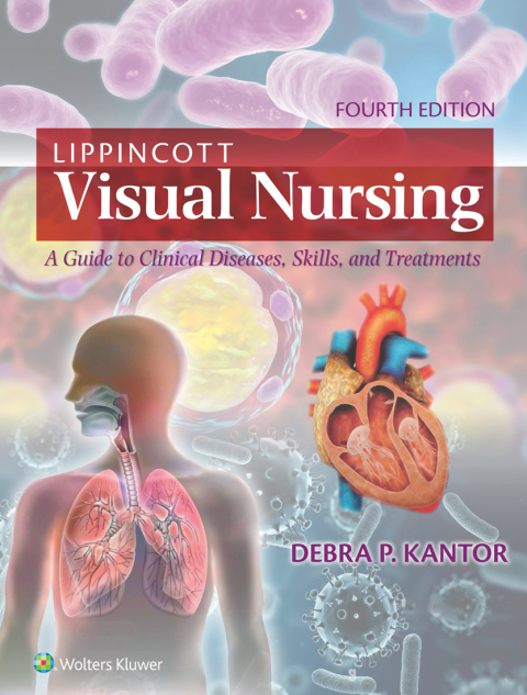 Cover image for book Lippincott Visual Nursing
