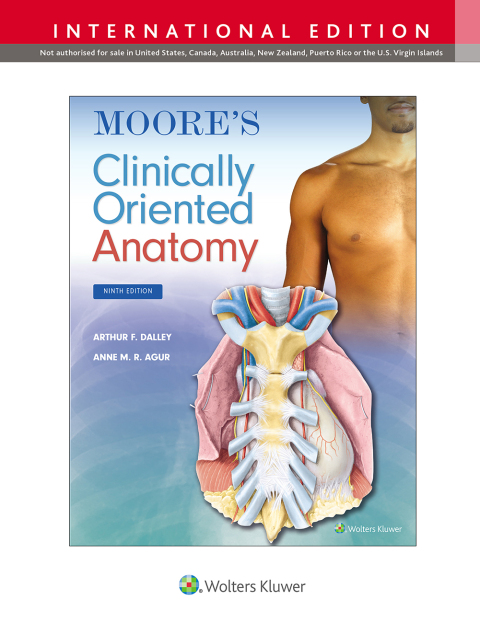 Moore's Clinically Oriented Anatomy