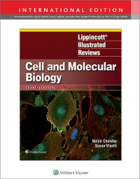 Lippincott Illustrated Reviews: Cell and Molecular Biology