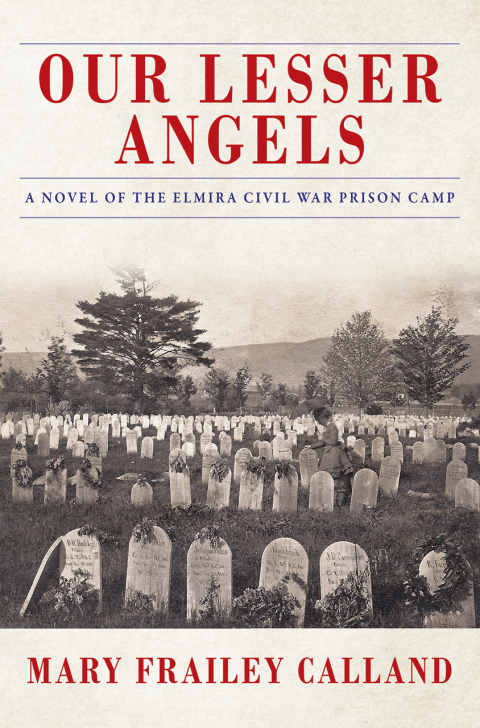Cover image for book Our Lesser Angels