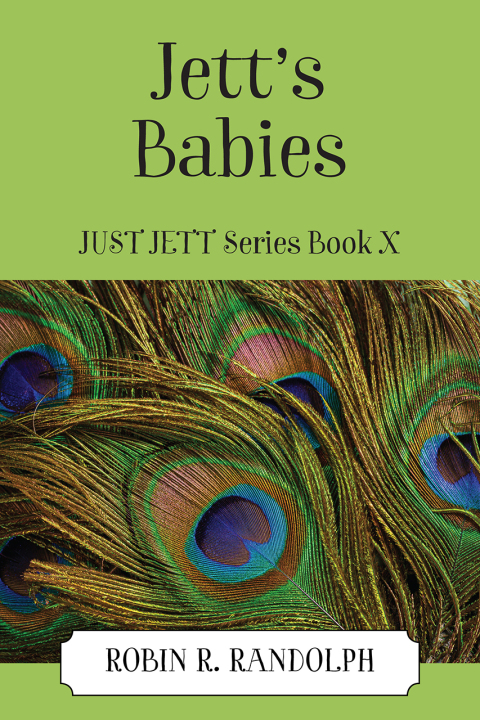 Cover image for book Jett's Babies