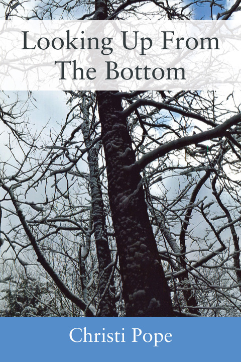 Cover image for book Looking Up From The Bottom
