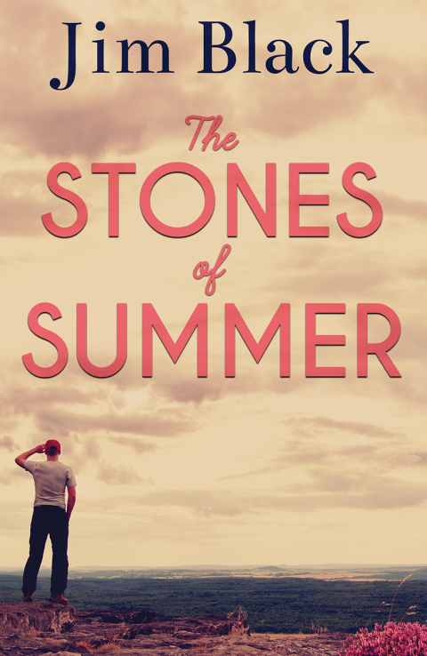 Cover image for book The Stones of Summer