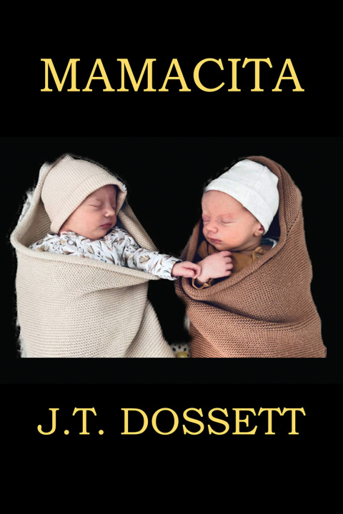 Cover image for book MAMACITA