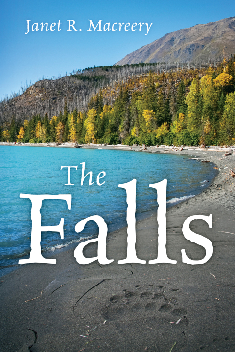 Cover image for book The Falls