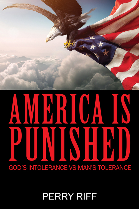 Cover image for book America is Punished