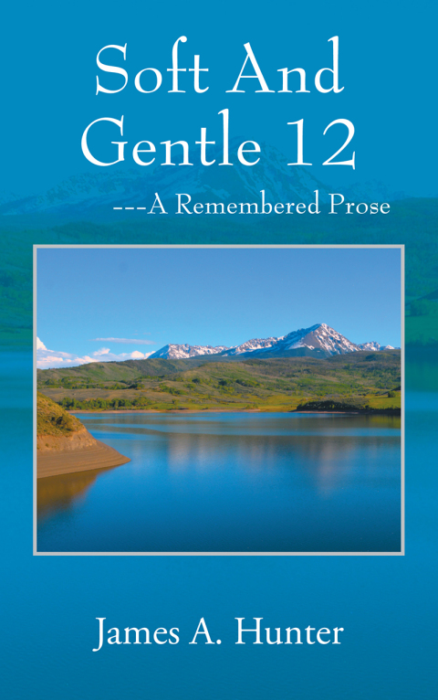 Cover image for book Soft And Gentle 12