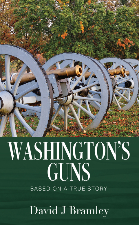 Cover image for book Washington's Guns