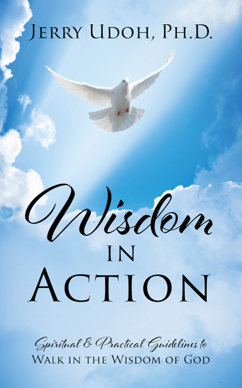 Cover image for book Wisdom in Action