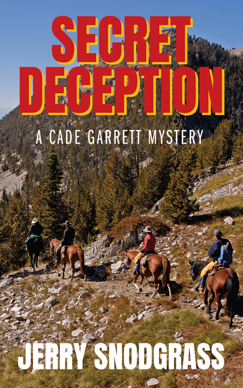 Cover image for book SECRET DECEPTION
