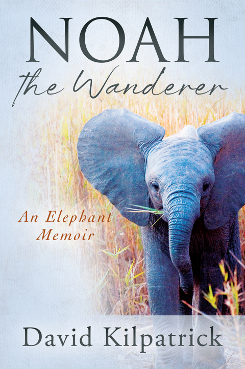 Cover image for book Noah the Wanderer