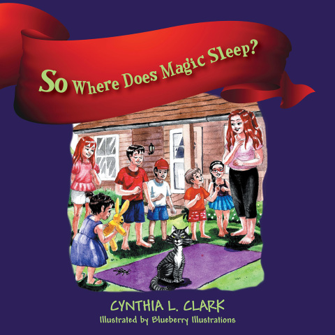 Cover image for book So Where Does Magic Sleep?