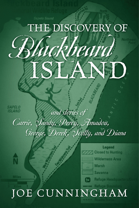 Cover image for book The Discovery of Blackbeard Island, and stories of Carrie, Sandy, Percy, Amadou, George, Derek, Scotty, and Diana