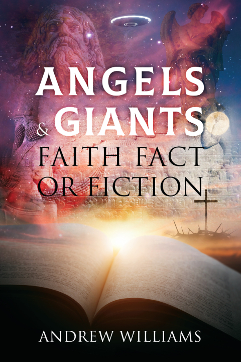 Cover image for book Angels & Giants Faith Fact or Fiction