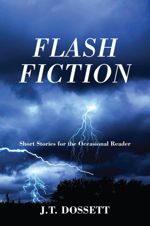 Cover image for book FLASH FICTION