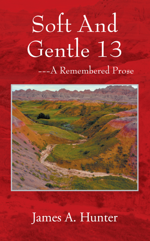 Cover image for book Soft And Gentle 13