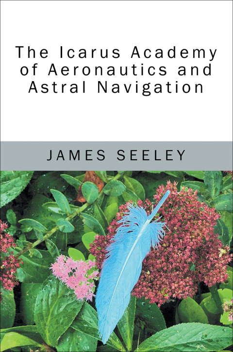 Cover image for book The Icarus Academy of Aeronautics and Astral Navigation