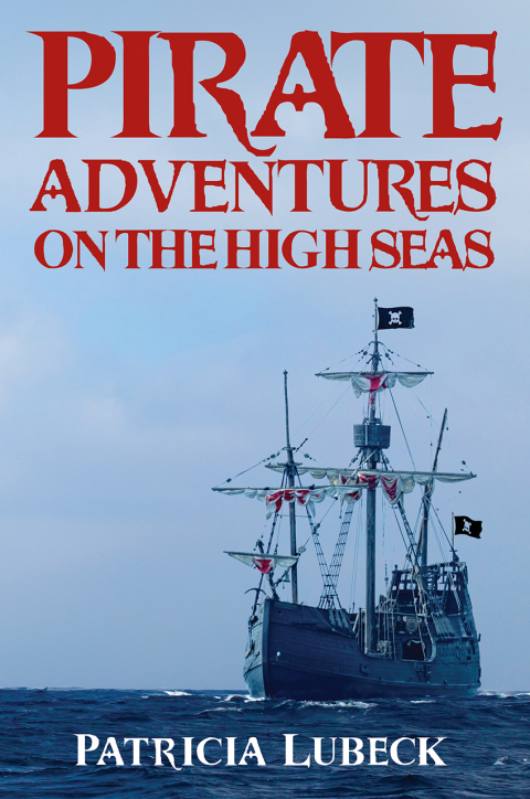 Cover image for book Pirate Adventures on the High Seas