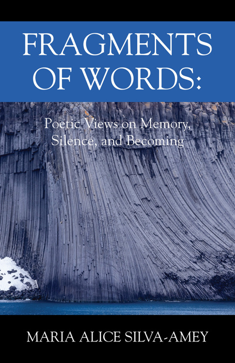 Cover image for book Fragments of Words