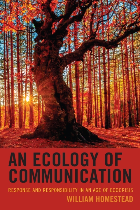 Cover image for book An Ecology of Communication