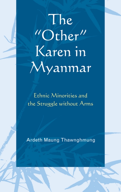 Cover image for book The "Other" Karen in Myanmar