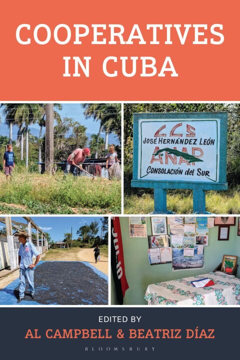 Cover image for book Cooperatives in Cuba