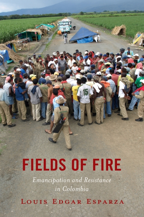 Cover image for book Fields of Fire
