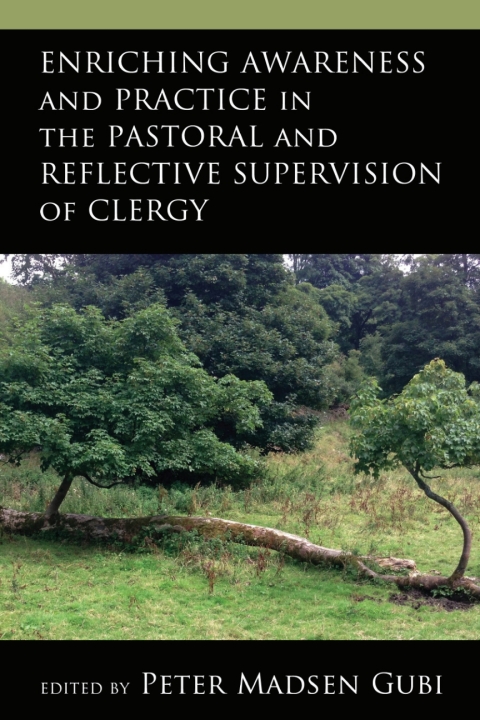 Cover image for book Enriching Awareness and Practice in the Pastoral and Reflective Supervision of Clergy