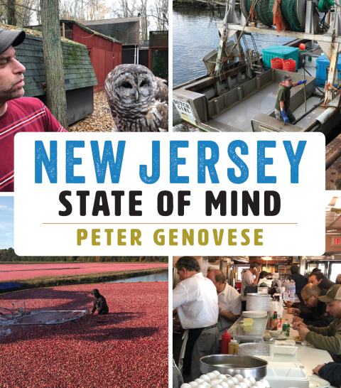 Cover image for book New Jersey State of Mind