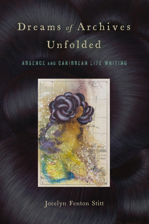Cover image for book Dreams of Archives Unfolded