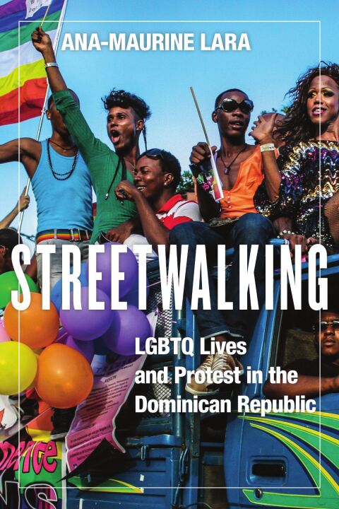 Cover image for book Streetwalking
