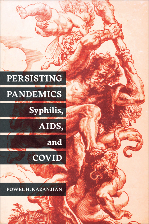 Cover image for book Persisting Pandemics