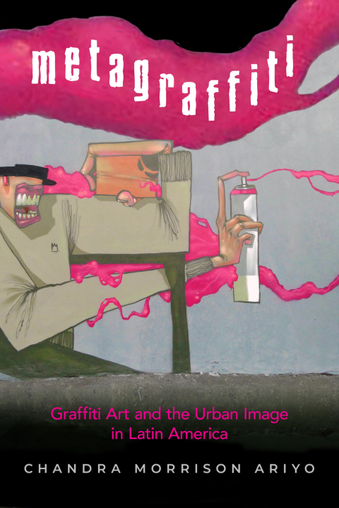 Cover image for book Metagraffiti