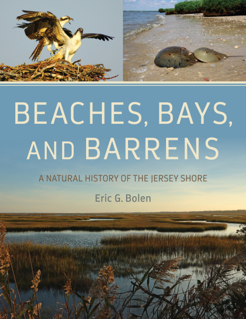 Cover image for book Beaches, Bays, and Barrens