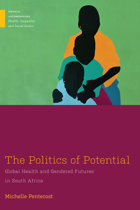 Cover image for book The Politics of Potential