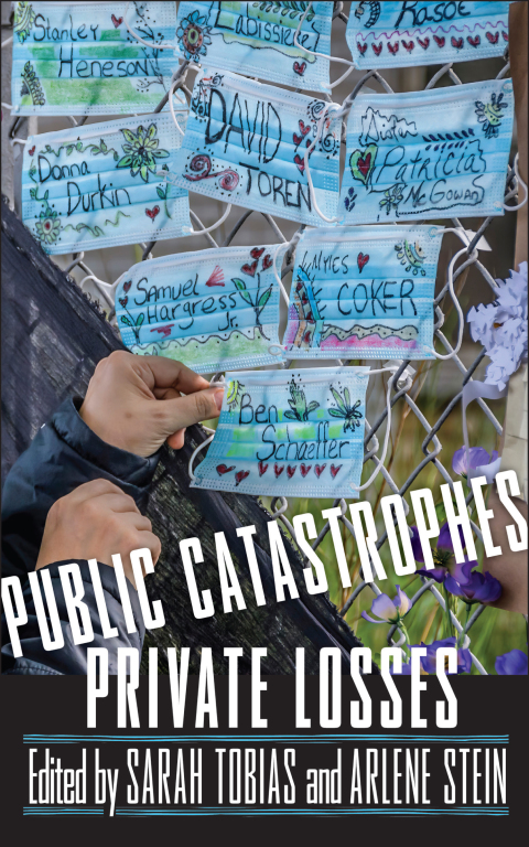 Cover image for book Public Catastrophes, Private Losses