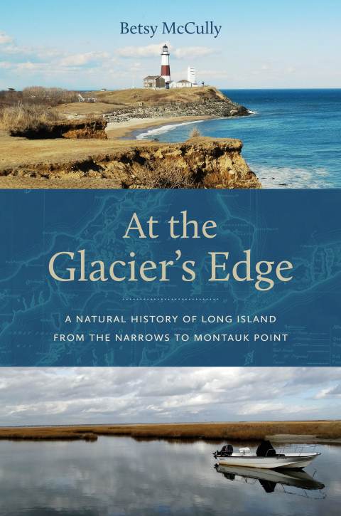 Cover image for book At the Glacier’s Edge
