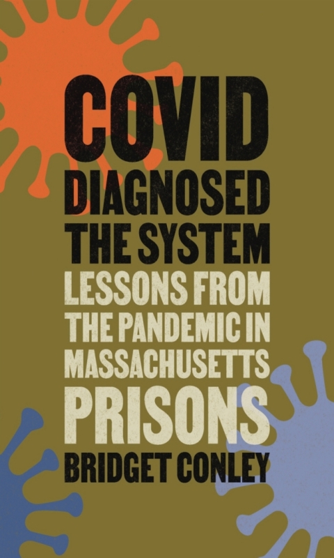 Cover image for book COVID Diagnosed the System